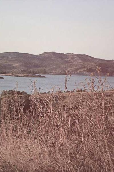 社區(qū)數(shù)據(jù)